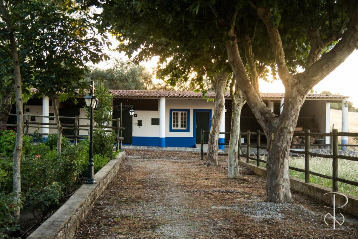 Vila Quinta Do Poco Novo Alcáçovas Exteriér fotografie